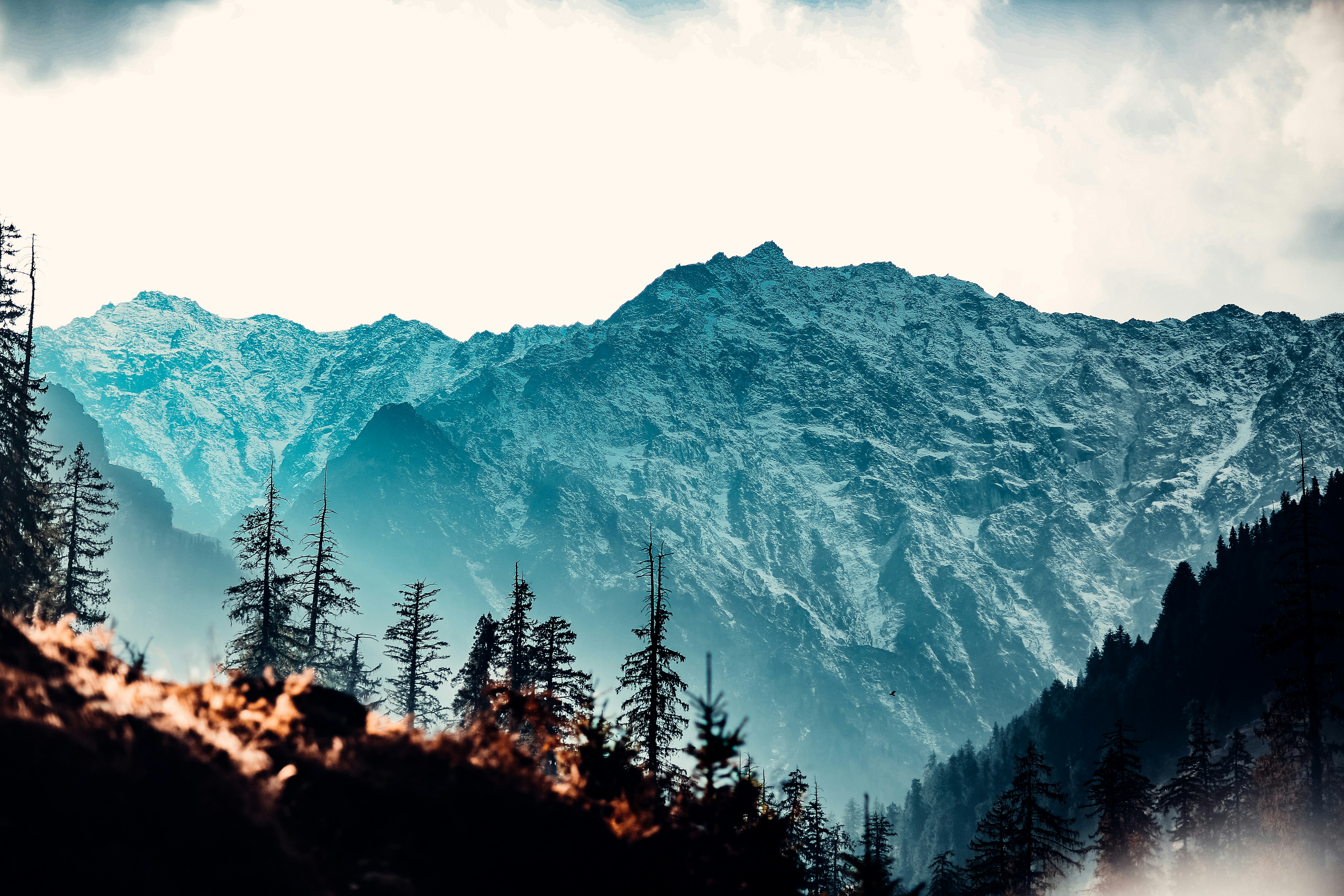 Shimla Manali Kasol Package